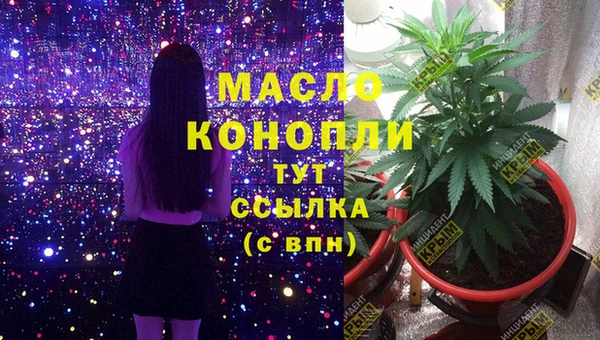 молекула духа Вяземский