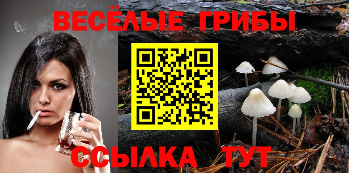 Галлюциногенные грибы ЛСД Луга