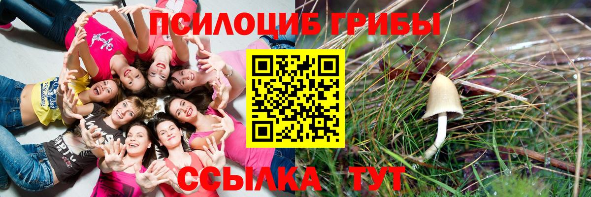 Галлюциногенные грибы прущие грибы  где можно купить наркотик  Луга 