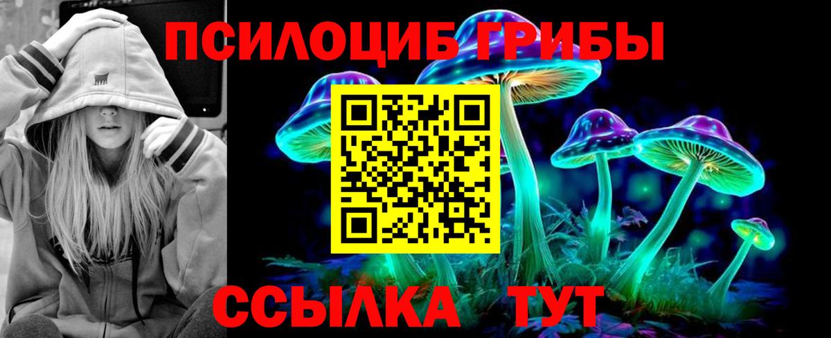 Псилоцибиновые грибы GOLDEN TEACHER  Вход с VPN  Луга  Галлюциногенные грибы Psilocybine cubensis 