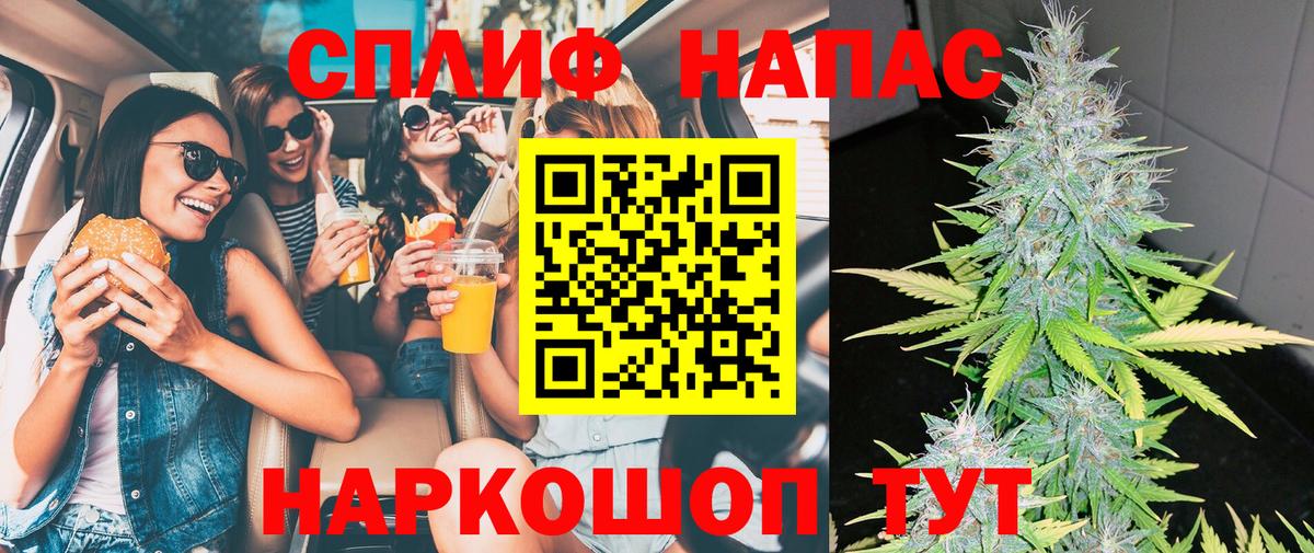 Бошки марихуана сатива Луга